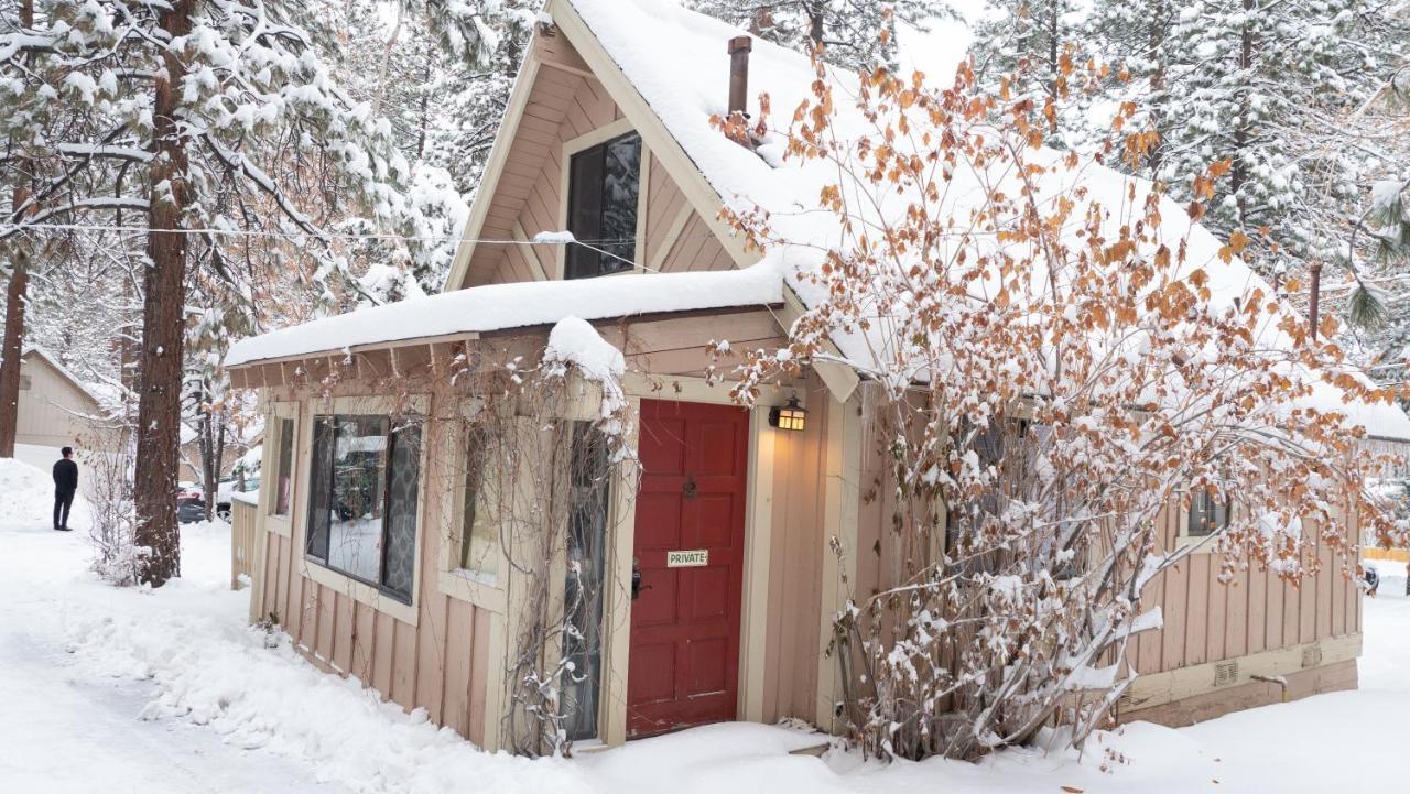 Lodge Sleepy Forest
